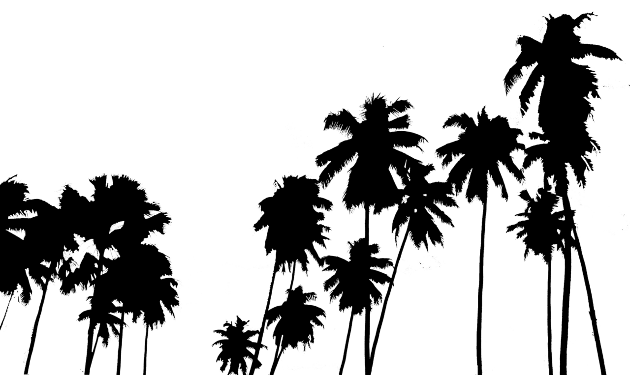 Palm tree pin page clipart background 2