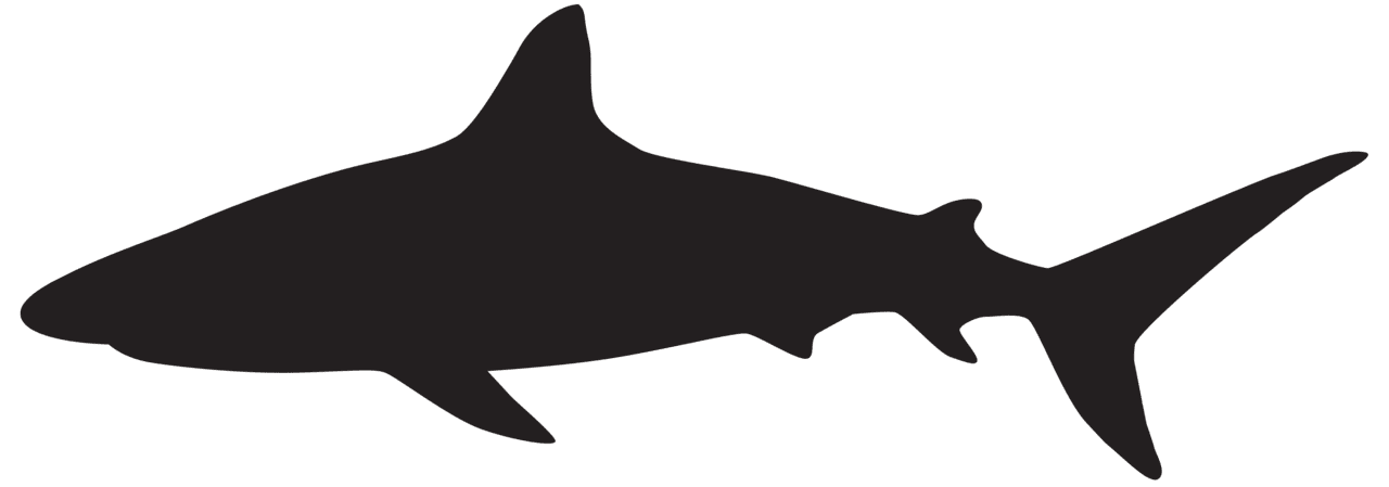 Shark silhouette clipart image