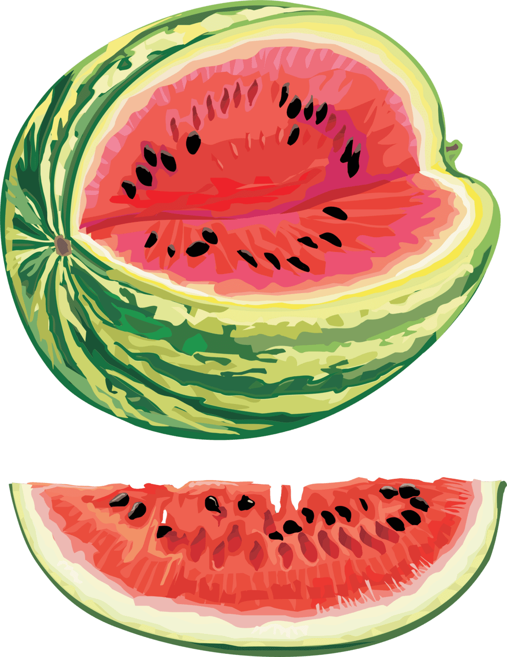 Watermelon clipart background