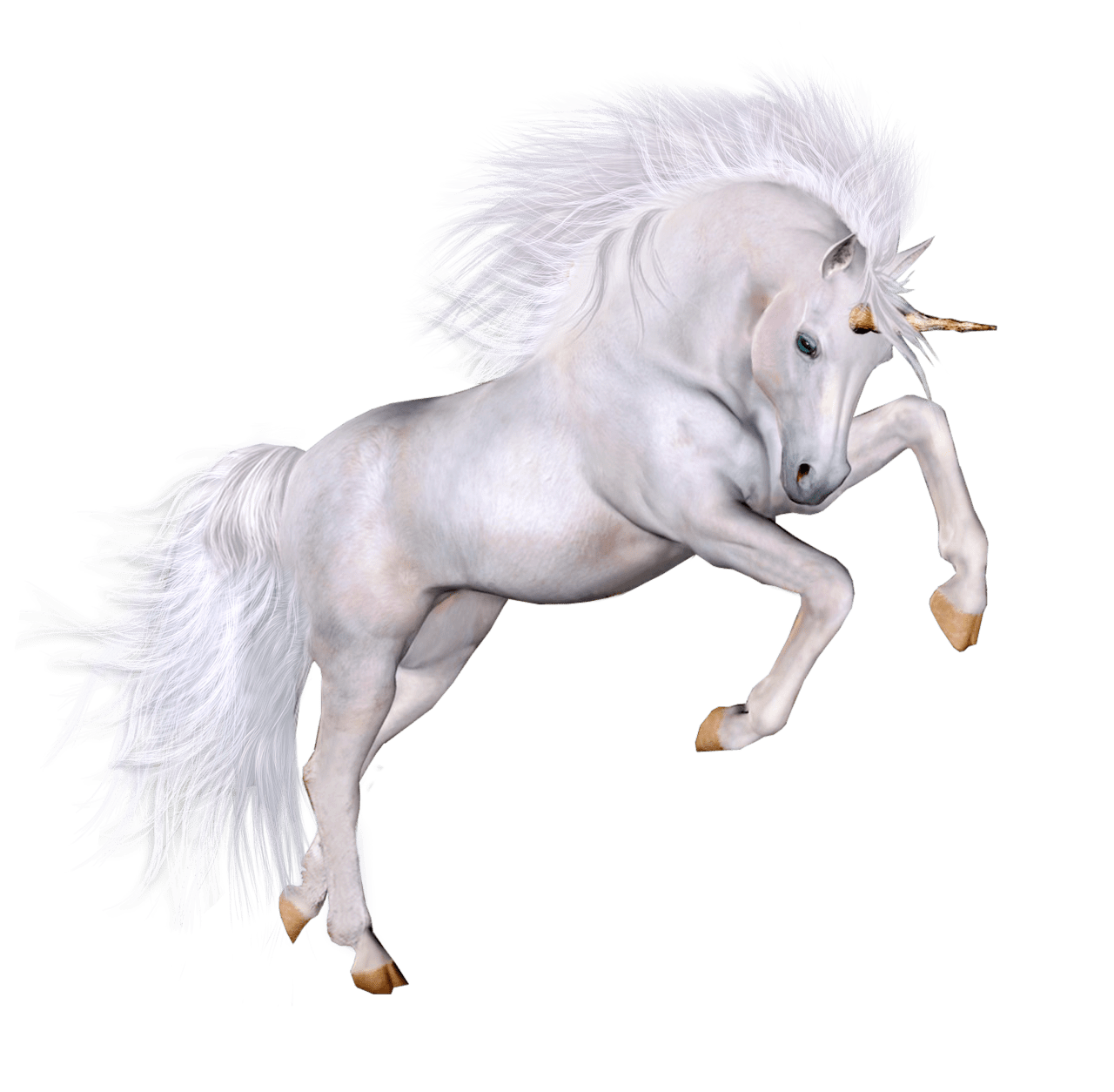Unicorn clipart real pencil and in color images art horse