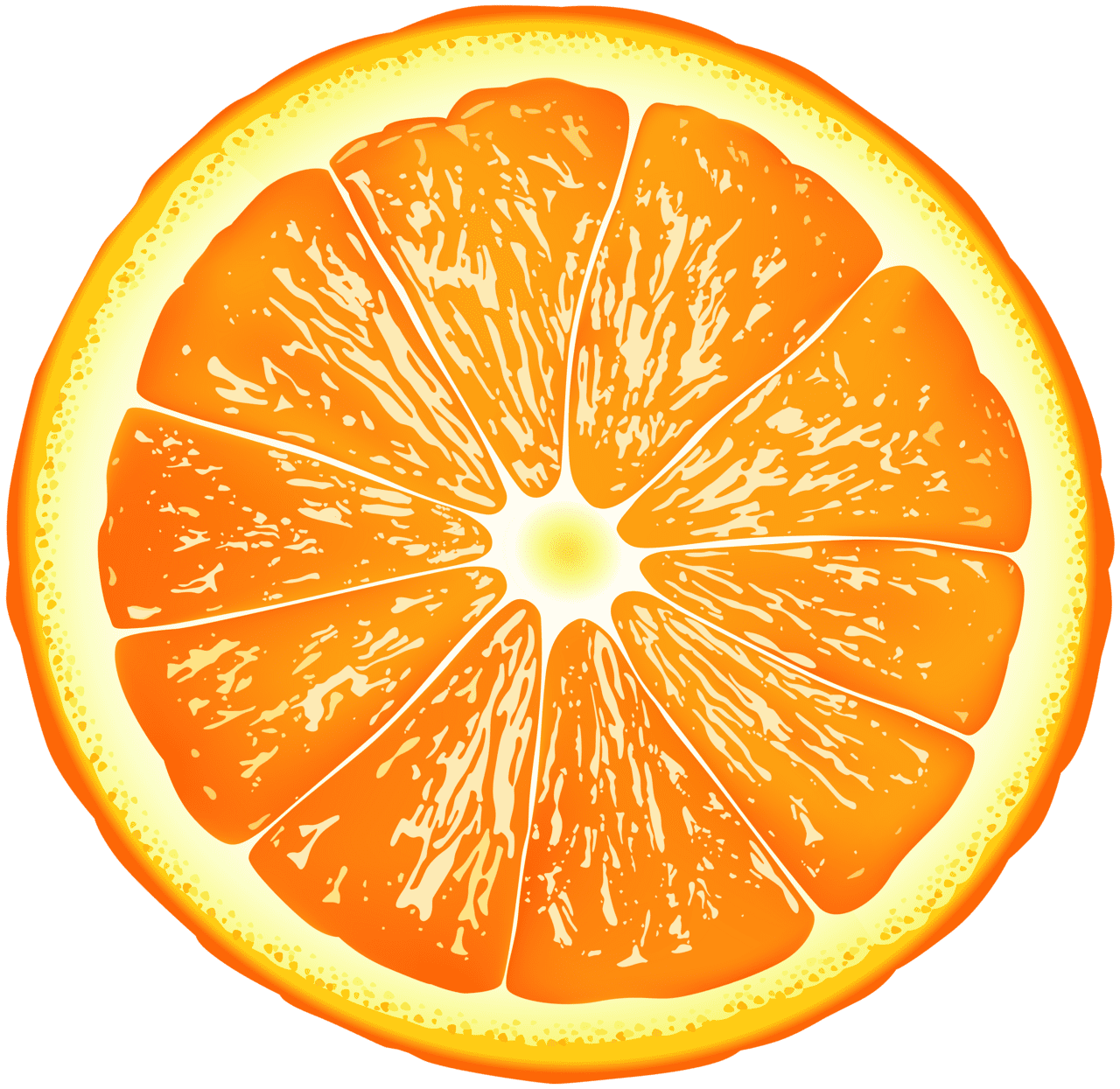 Fruit orange slice clipart vector