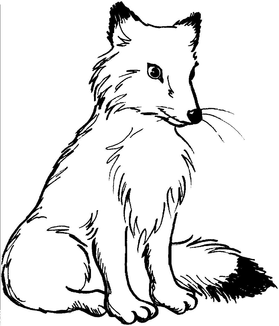 Fox pin page clipart photo