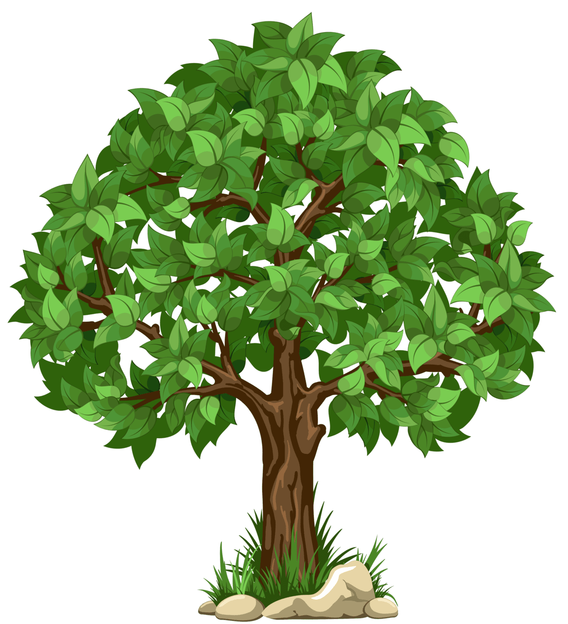 Plant tree clipart picture