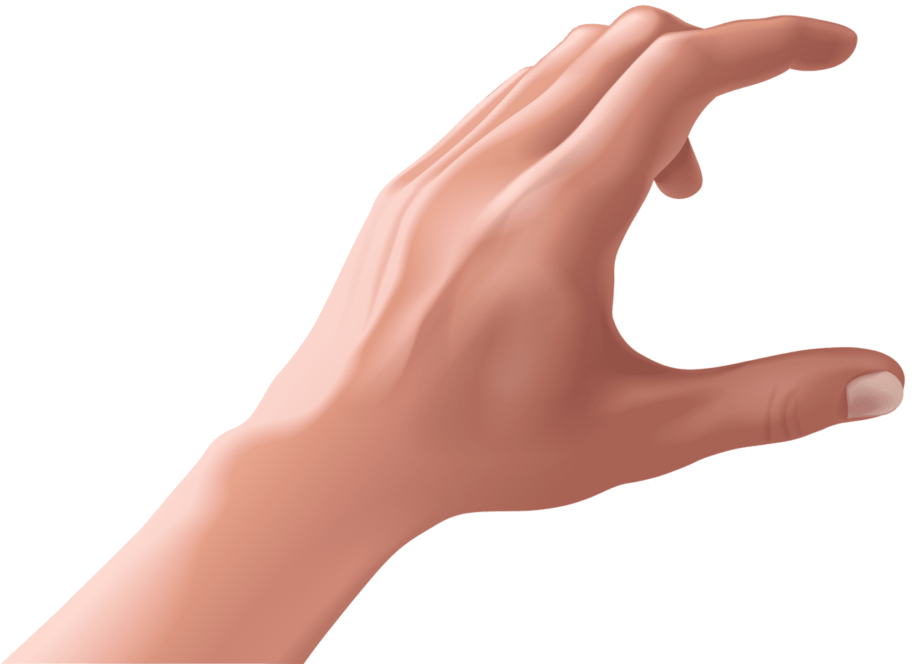 Hold hand clipart image