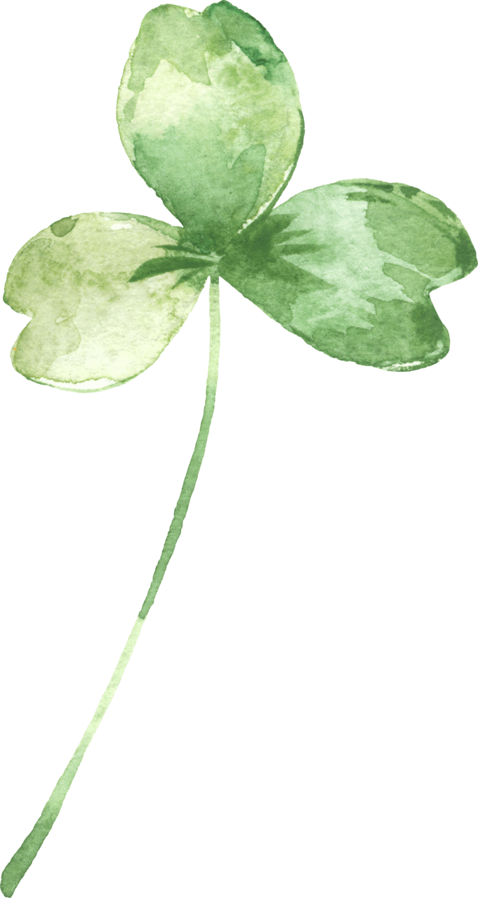 Leaf clover page clipart transparent