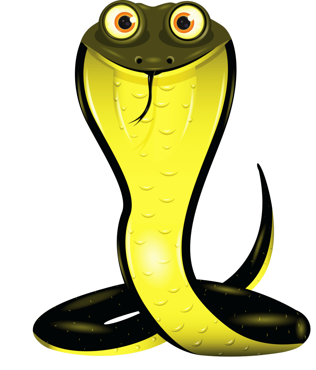 Snake page clipart clip art