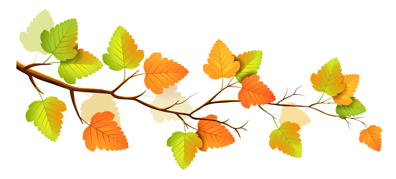 Autumn leaves fall tree branch clipart clipground photo