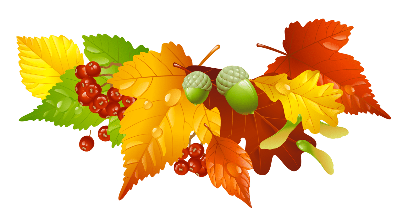 Autumn leaves and acorns decor picture herbst tapeten plakat clipart 3