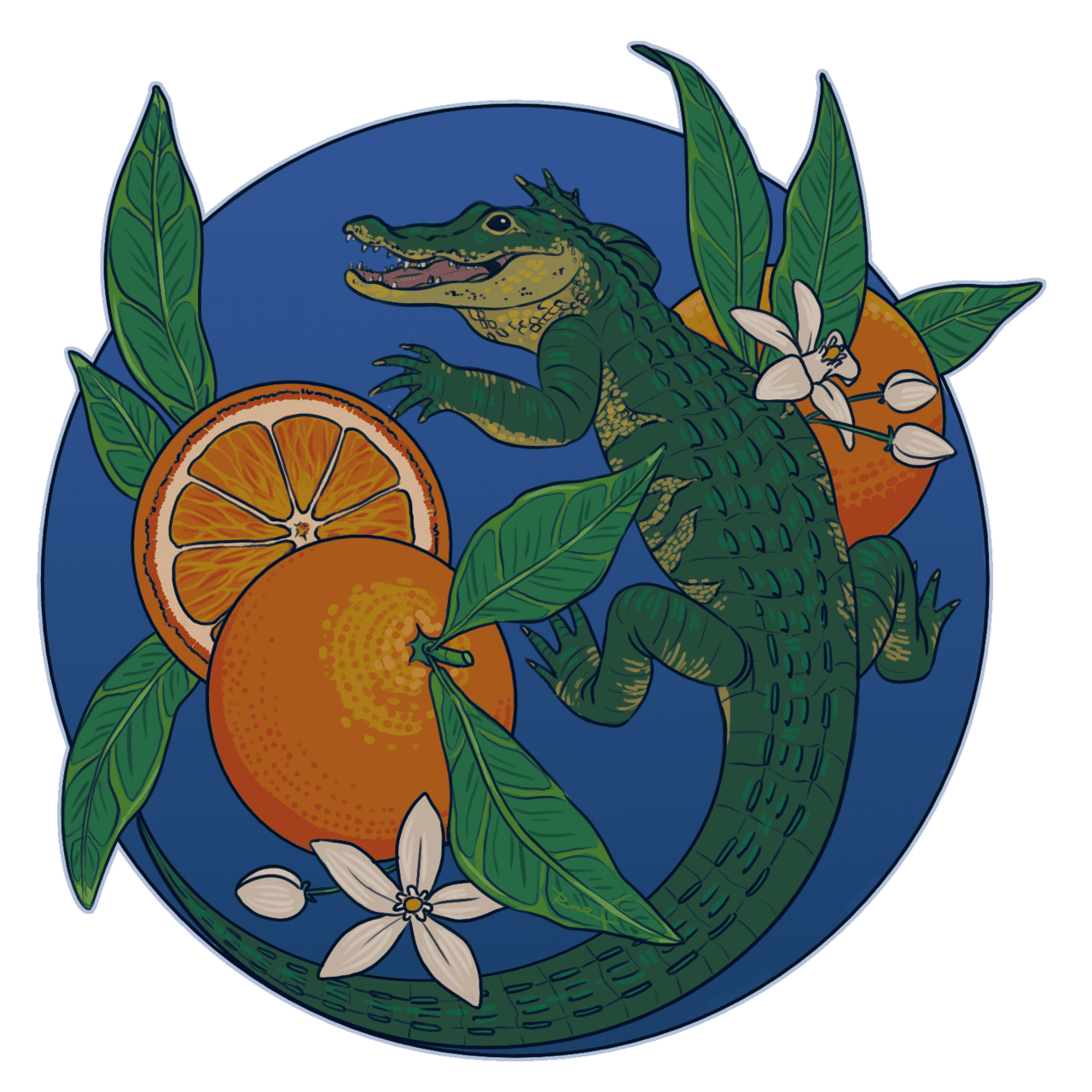 Florida alligator with oranges and orange blossoms kiss cut sticker clipart photo