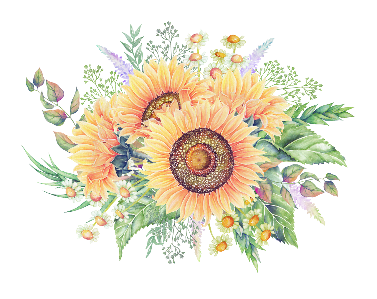 Pin by modorova svetlana floral painting sunflower clipart border design background