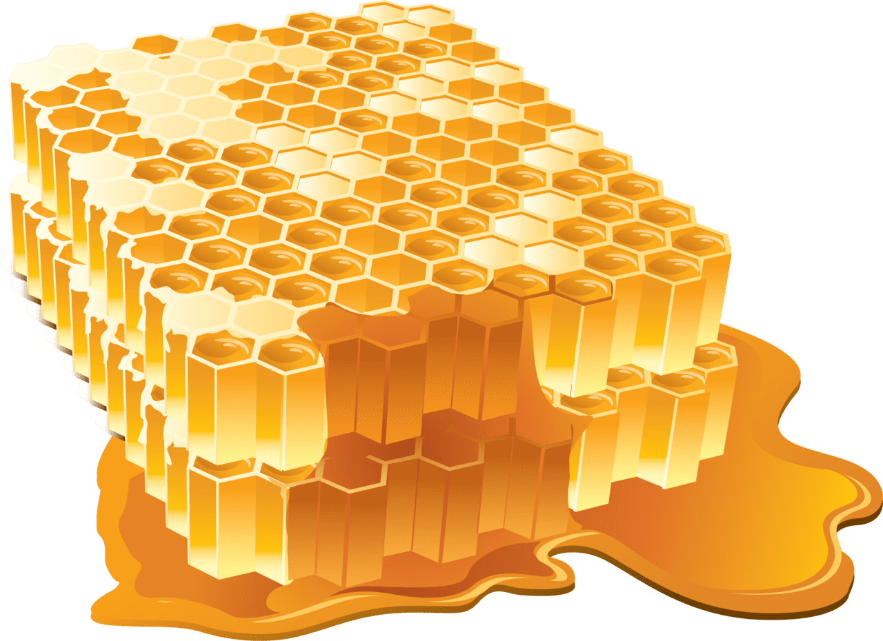 Beehive pin by kushalagarwalkushal honey art hand crafts for kids clip clipart image