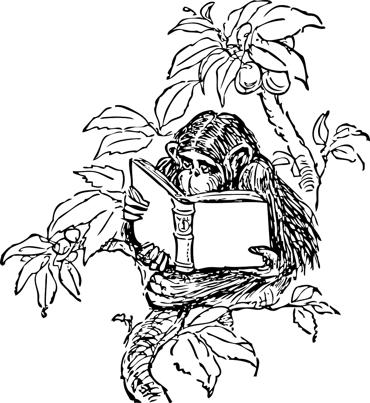 Monkey reading nature vector graphic art cartoon clipart tree tattoo