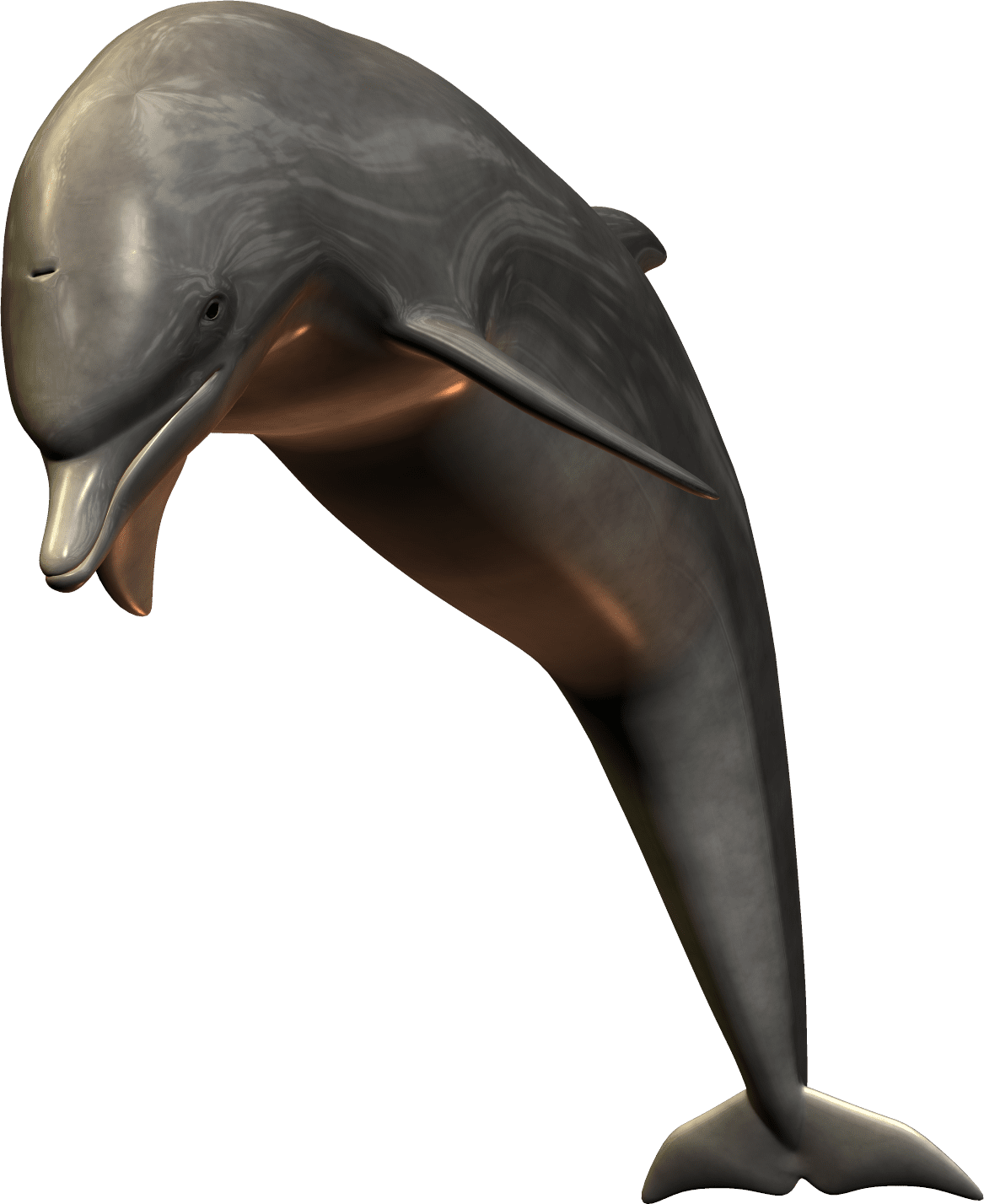 Silver bottlenose dolphin jumping image animals clipart