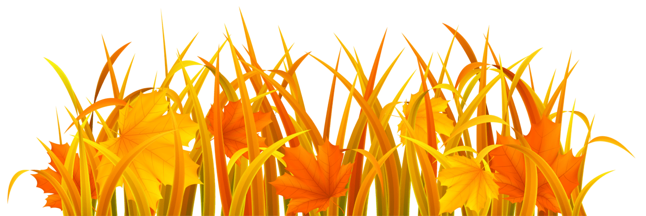 Autumn grass clipart image