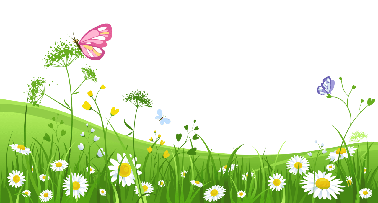 Spring grass with butterflies clipart picture