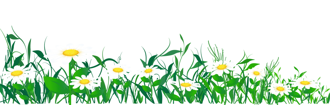 Plant daisies and grass clipart picture