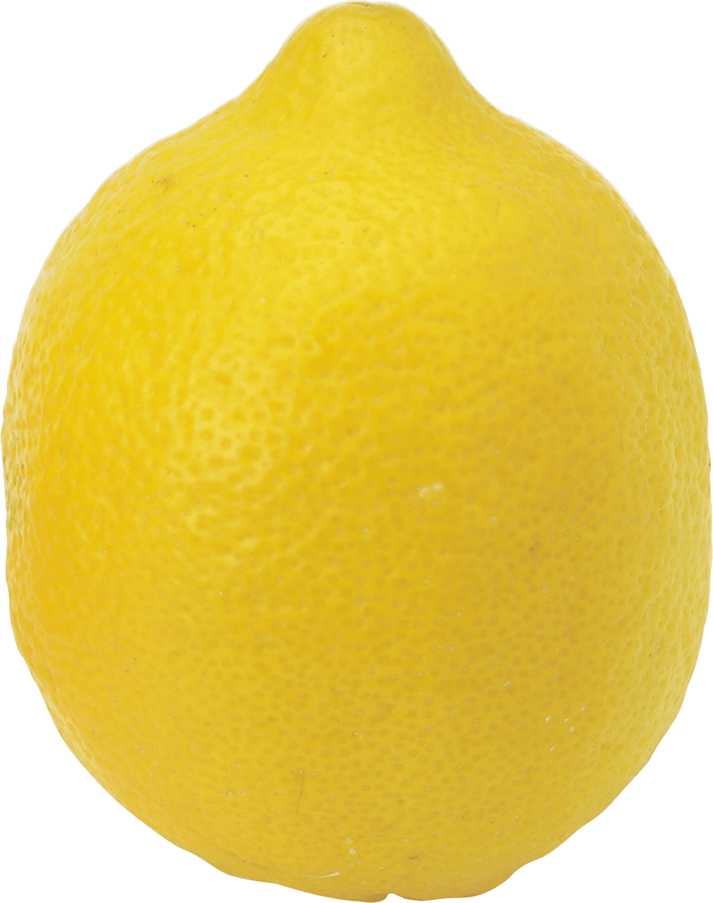 Lemon clipart logo