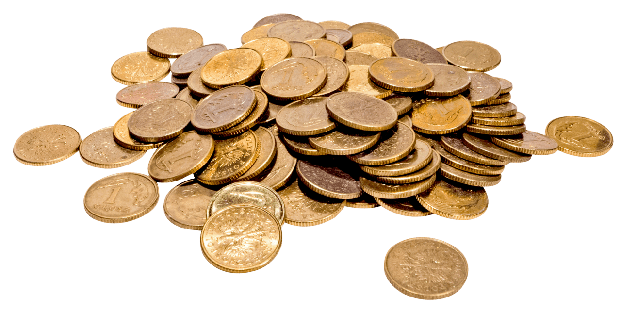 Cash gold coin clipart vector