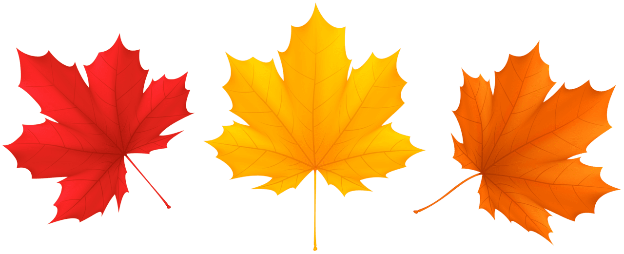 Set fall leaves clipart image yopriceville high quality images and autumn 2