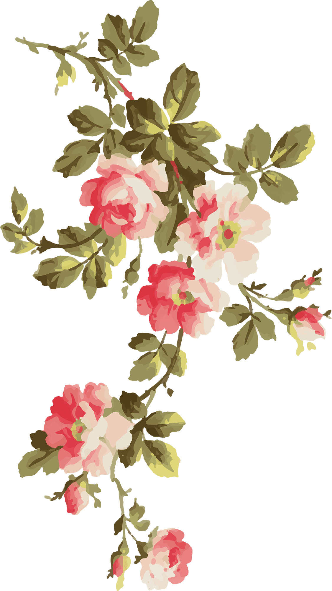 Floral colorful flower clipart set vector