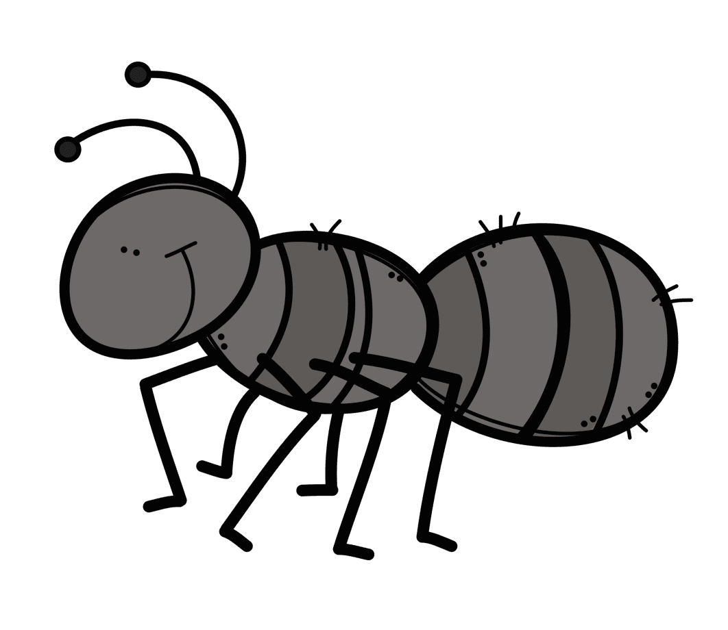 Ant hormiga negra clipart picture