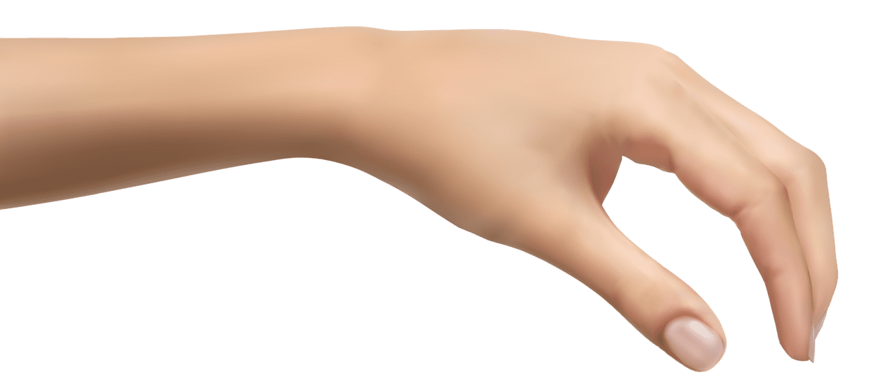 Human hand clipart picture