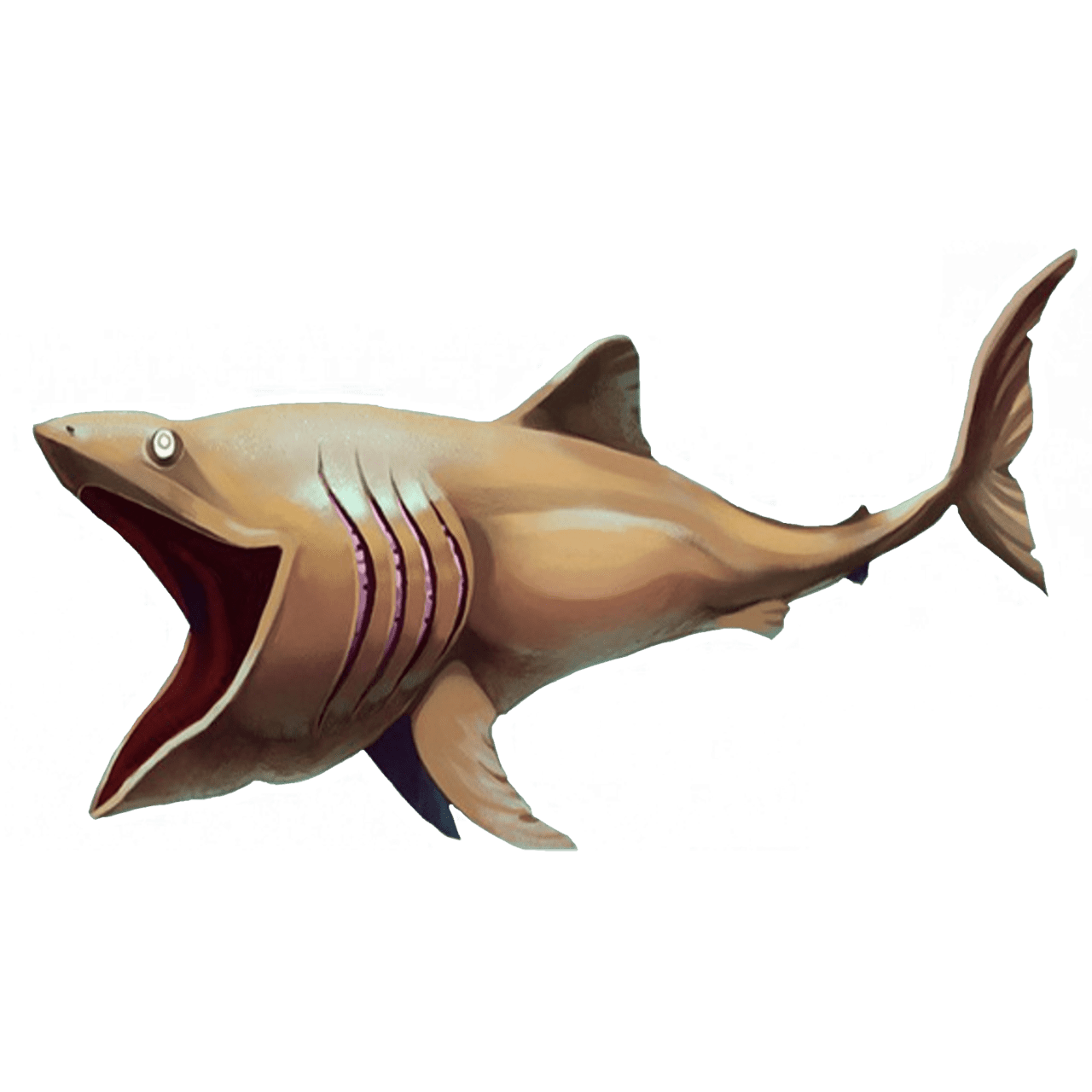 Bask shark images hd photo clipart