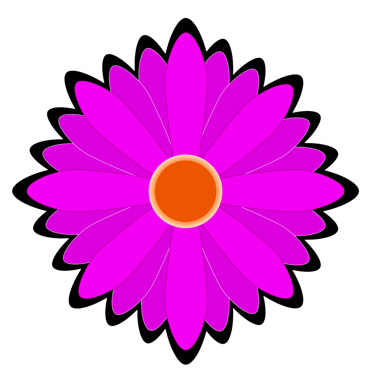 Daisy flower vector clipart