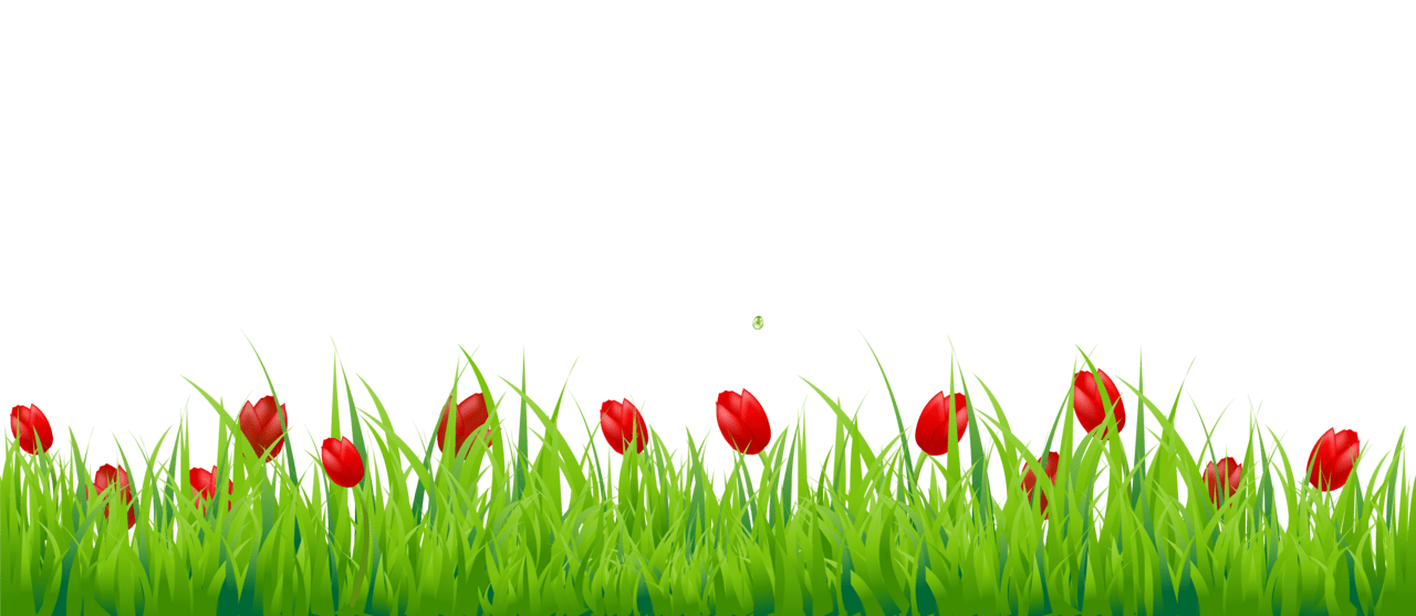 Grass clipart photo