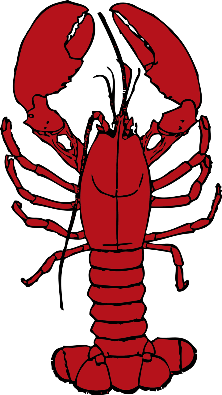 Crab lobster clipart transparent