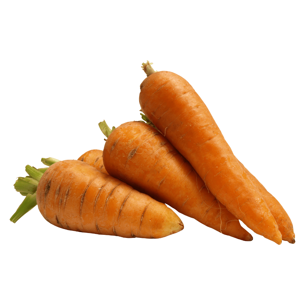 Carrot images hd photo clipart