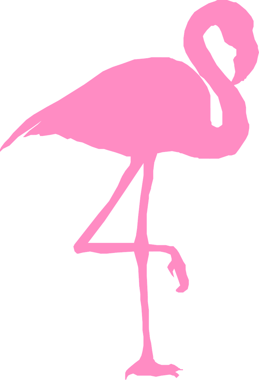 Flamingo flam go bird silhouette vector graphic clipart