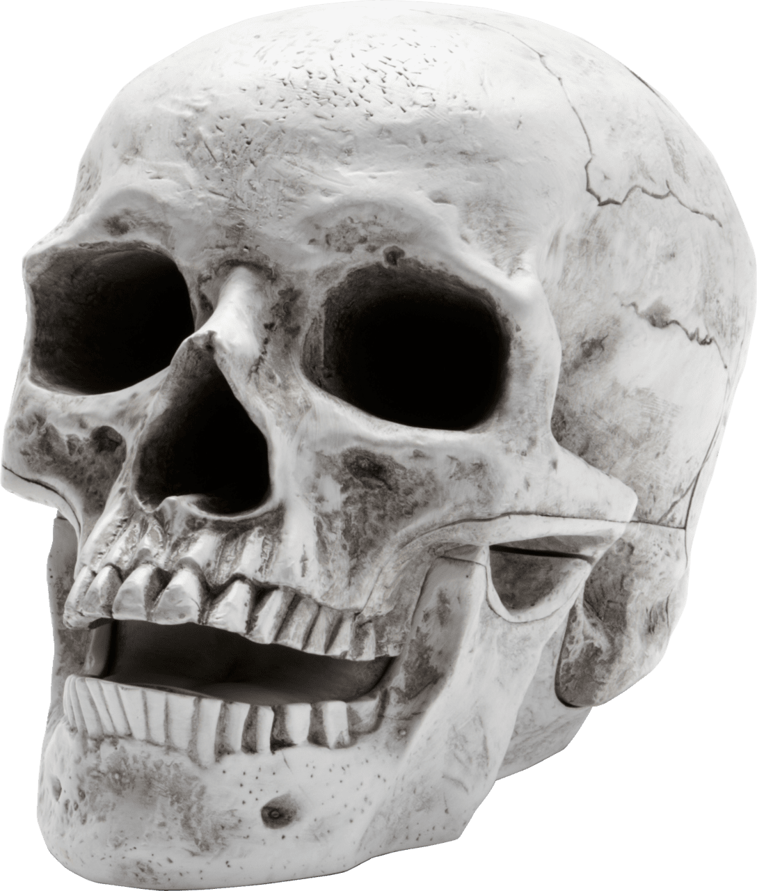 Skeleton skull airbrush art clipart transparent