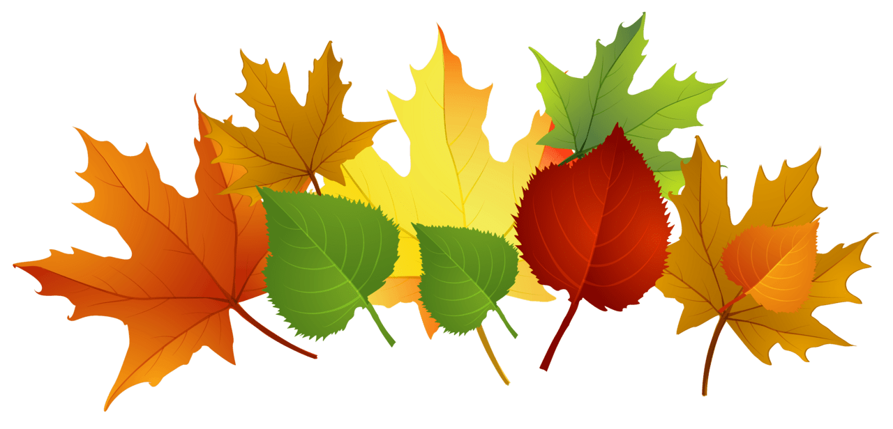 Fall leaf leaves border clipart coloring pages image