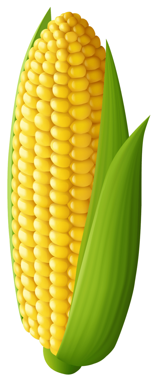 Popcorn corn clipart image