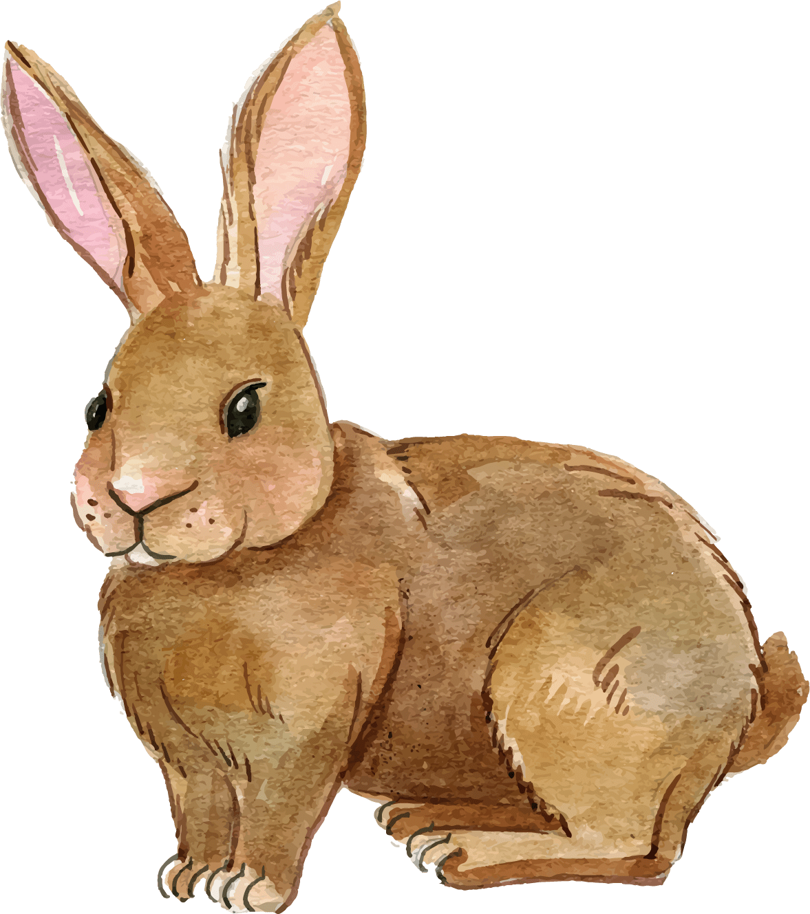 Hd rabbit clipart image nic