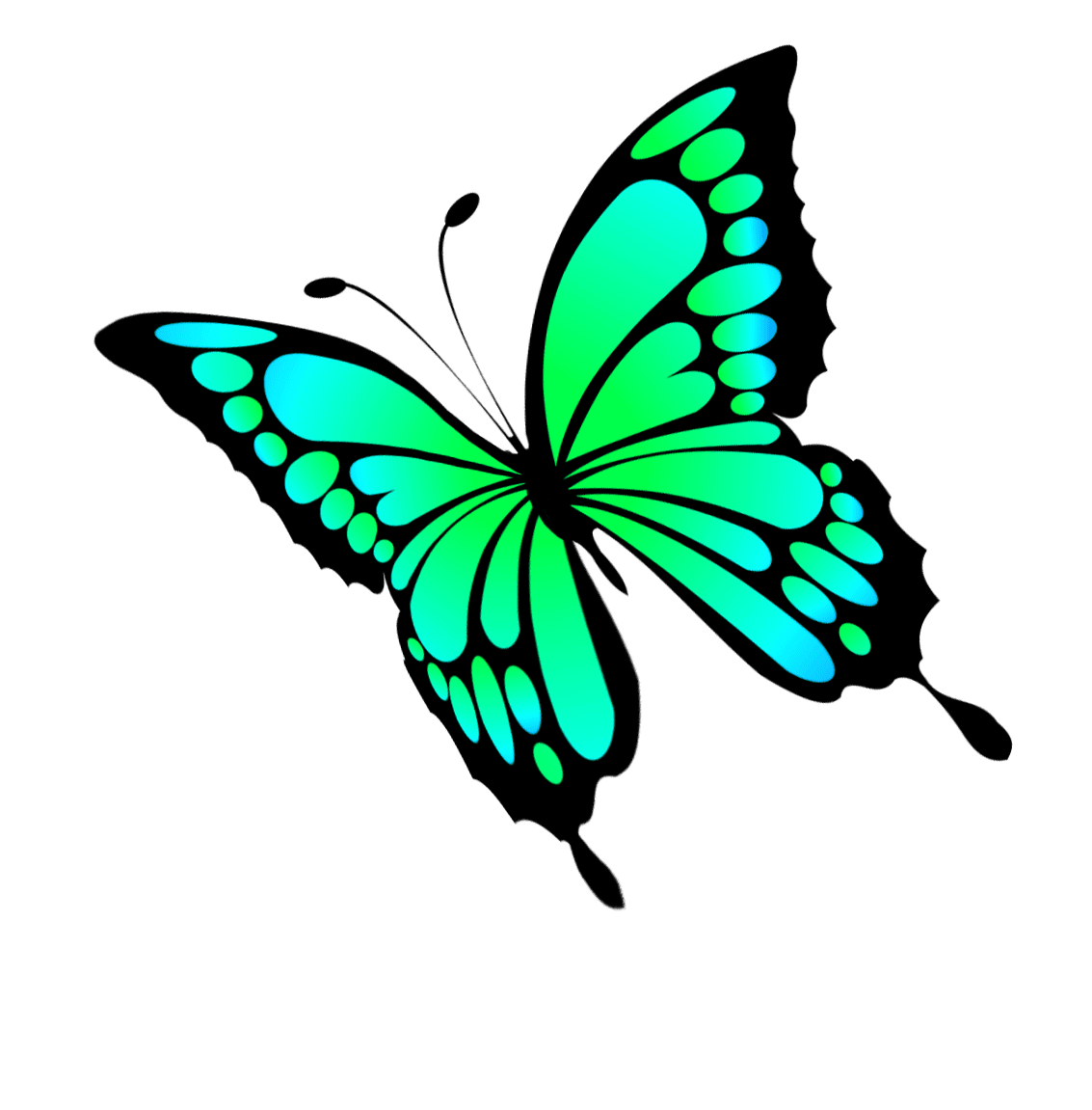 Butterflies butterfly clipart background 2