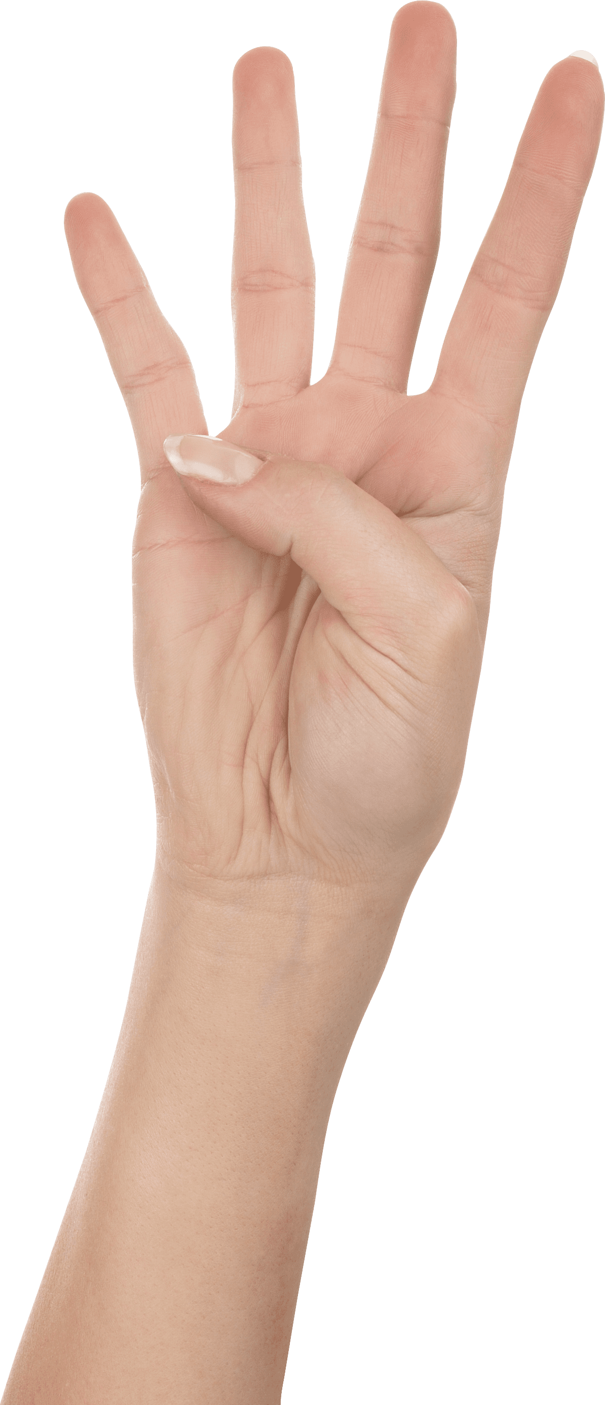 Hand fingers clipart picture