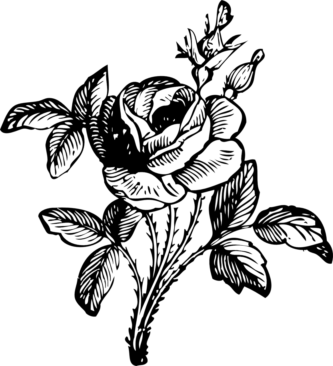 Flower black and white drawing drawings clipart vector