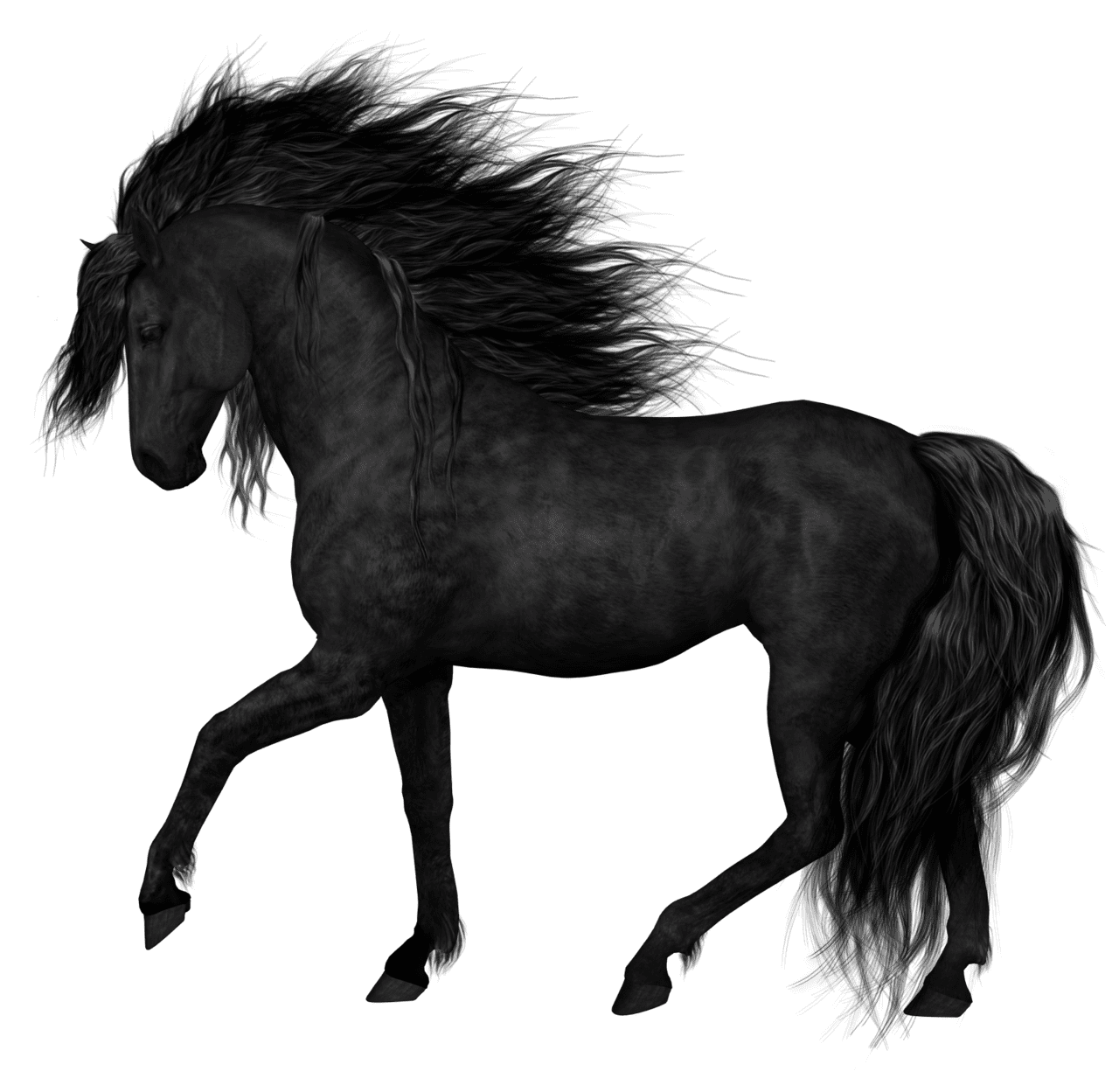 Horse image background clipart