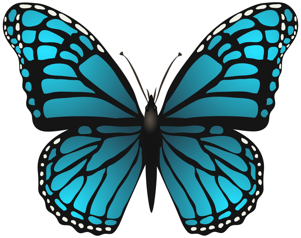 Butterflies large blue butterfly clipart image