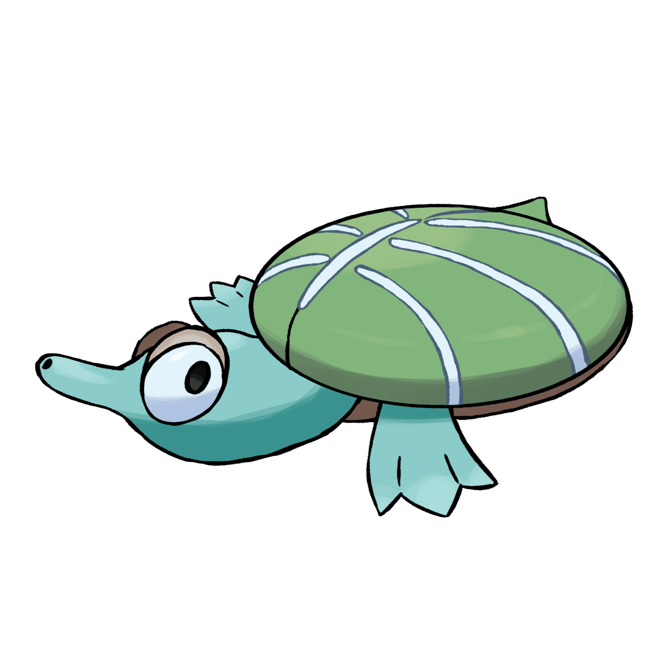 Turtle carapad clipart transparent