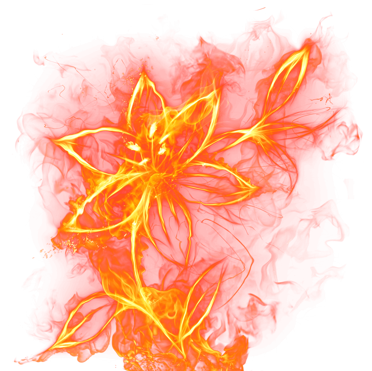 Flame beautiful fire flower clipart picture