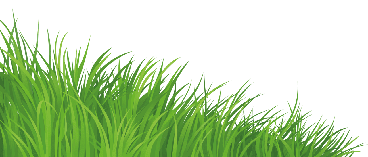 Grass element clipart picture