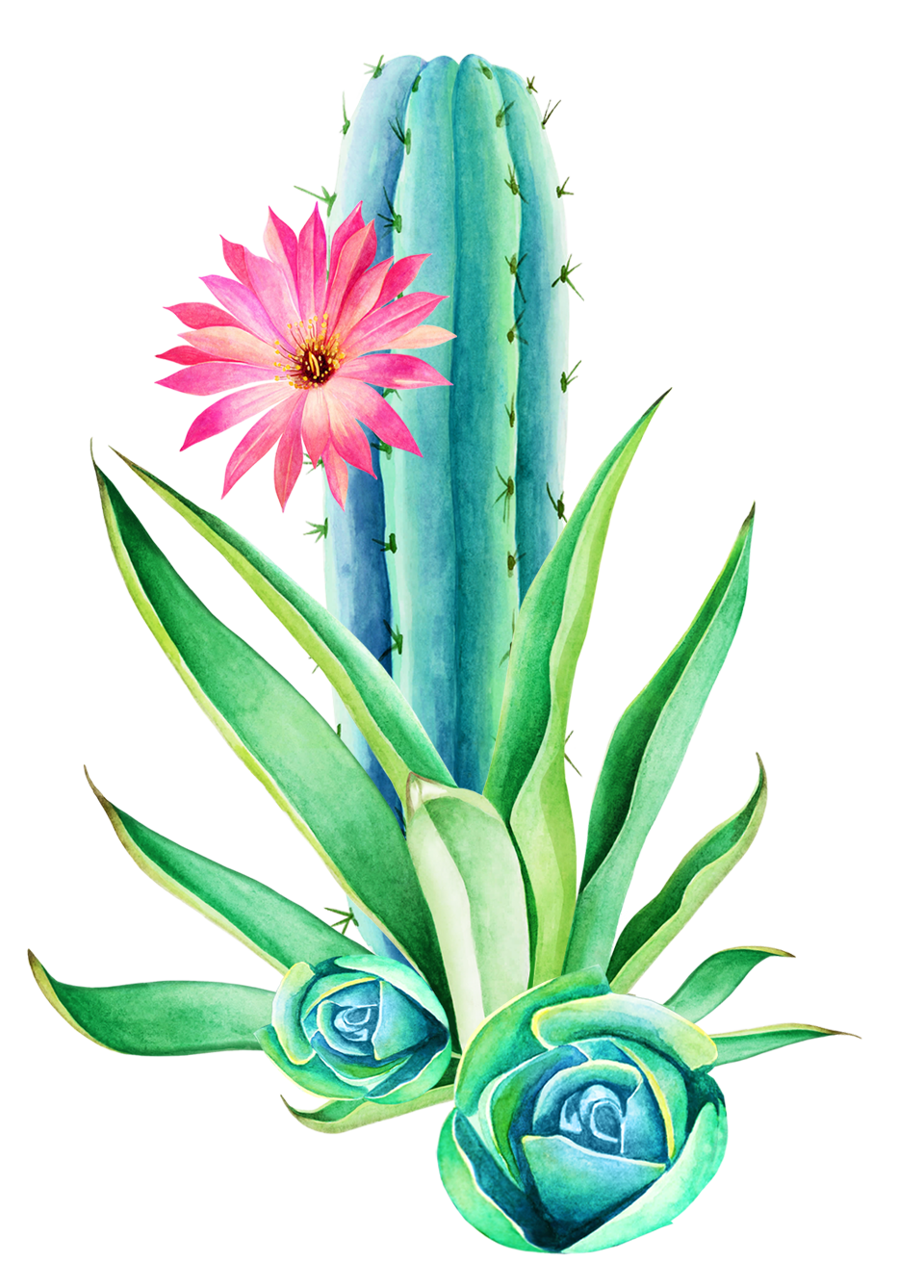 Cactus pin page clipart background 3