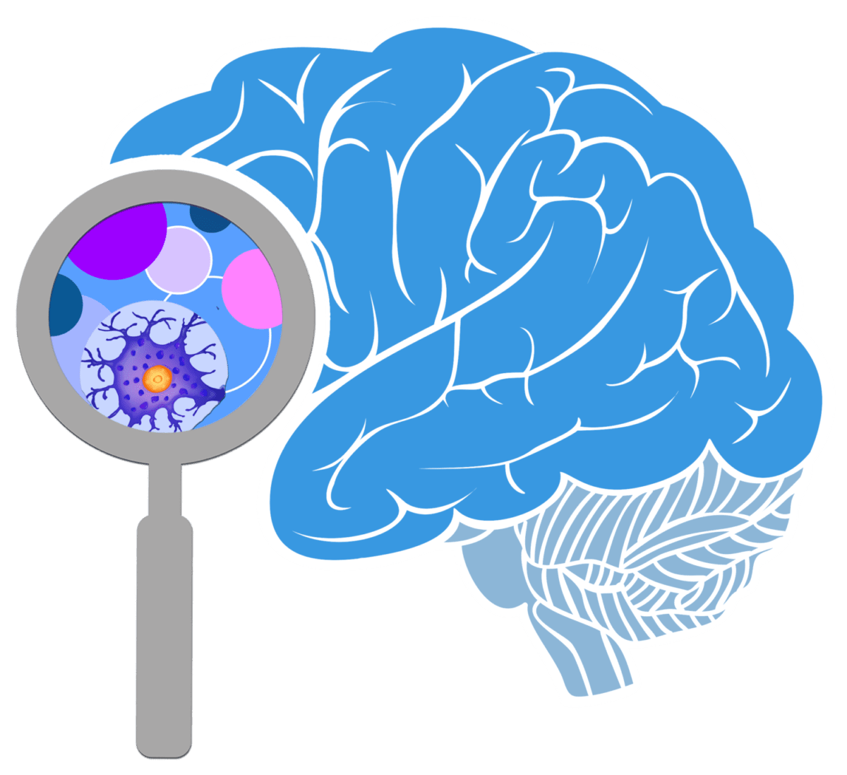 Magnifying glass the brain initiative alliance clipart vector