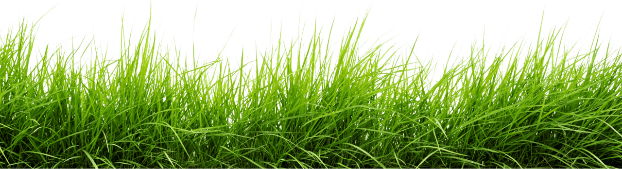 Line of grass clipart vector
