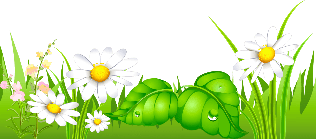 Spring grass with daisies ground clipart yopriceville high quality images and flower drawing blossom invitation