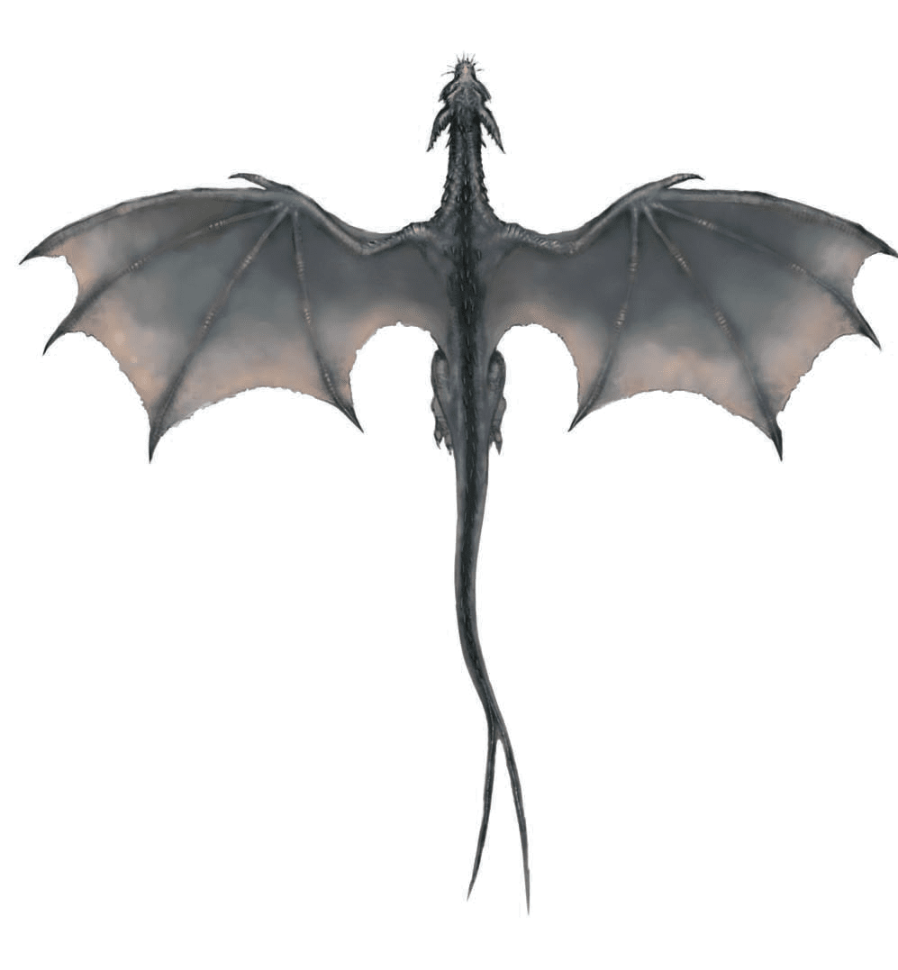 Dragon clipart large images transparen