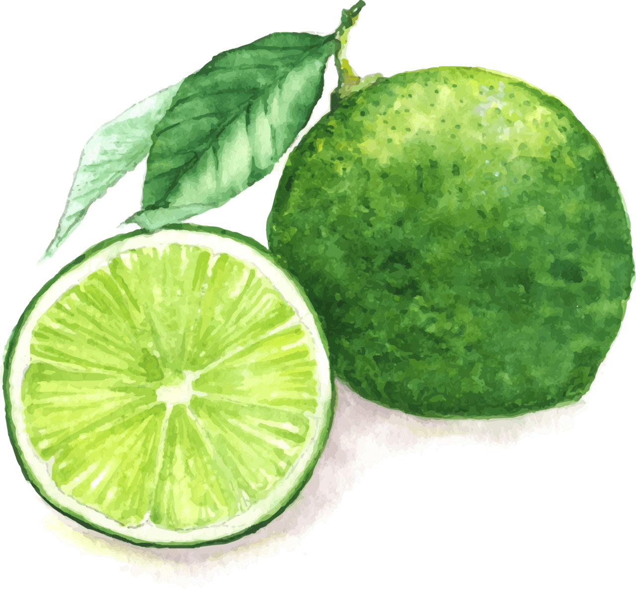 Juice lemon watercolor painting lime drawing clipart vector